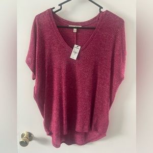 Express short sleeve sweater
